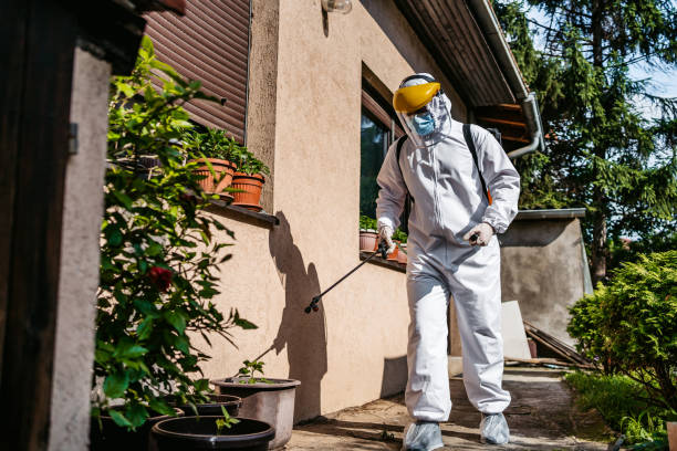 Best Pest Removal Services  in Hillsboro Beach, FL