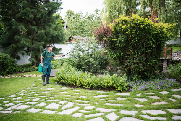 Best Ant Control Services  in Hillsboro Beach, FL
