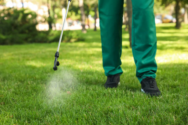 Best Affordable Pest Control Services  in Hillsboro Beach, FL