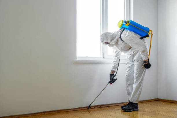Professional Pest Control in Hillsboro Beach, FL