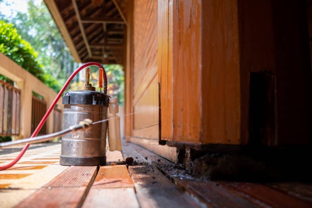 Best Exterminator Services  in Hillsboro Beach, FL