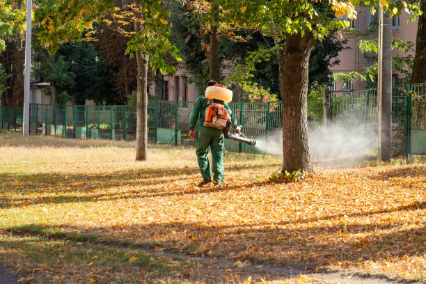 Best Commercial Pest Control Services  in Hillsboro Beach, FL
